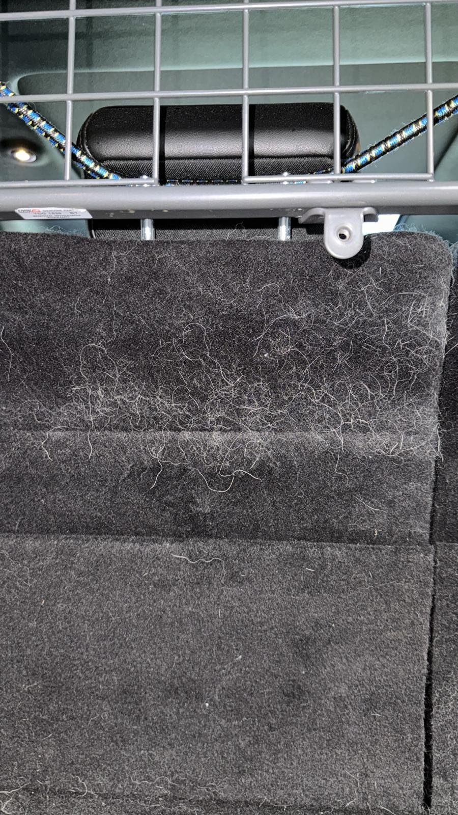 Fahrzeugaufbereitung – Exklusiv Detailing